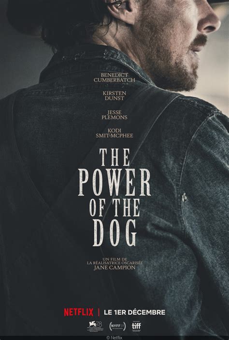 Film Netflix The Power Of The Dog The Power Of The Dog Starring Benedict Cumberbatch First Trailer Dropped